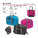 BT 3119-II-01.webp