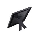 WP 182 _5.webp
