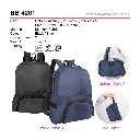 BB 4201-01.webp