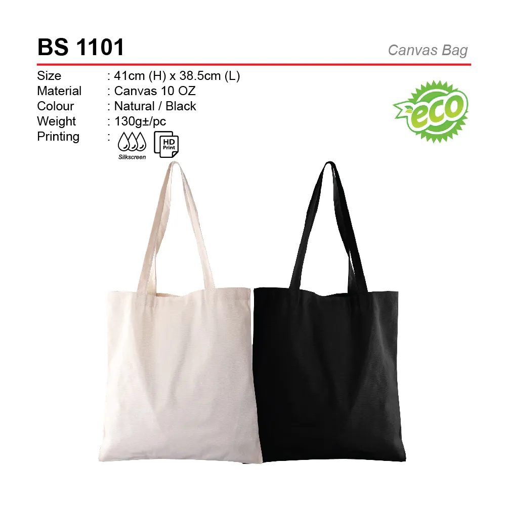 BS 1101-01.webp