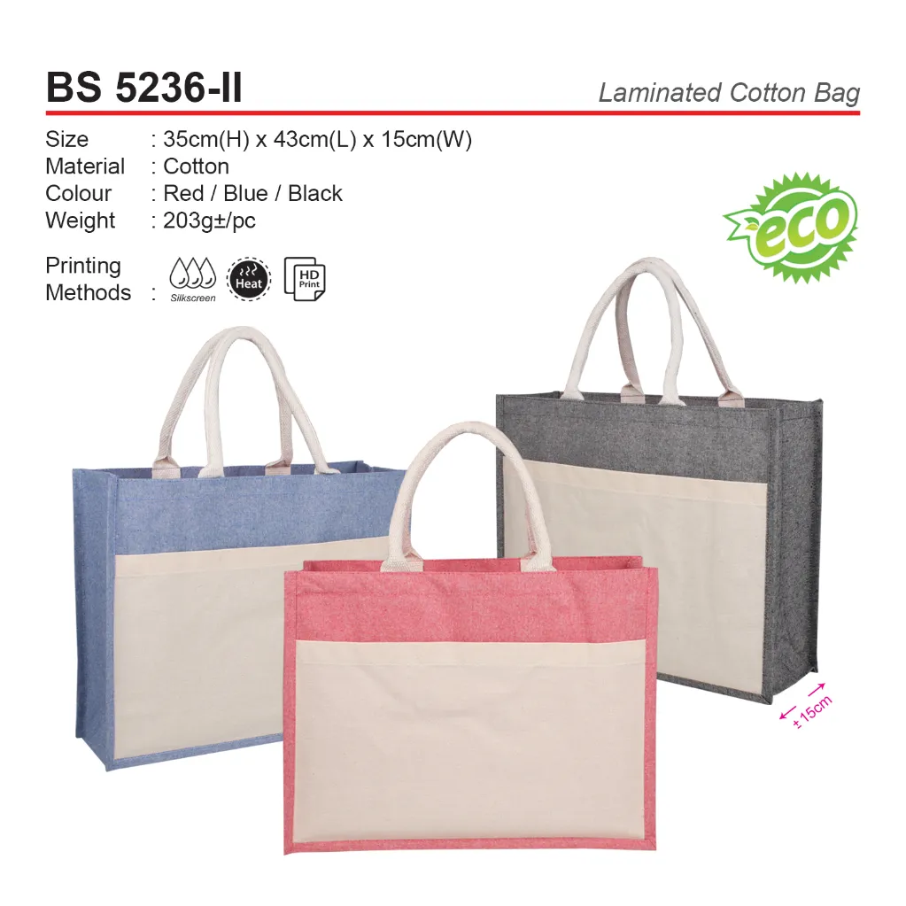 BS 5236-II.webp