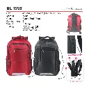 BL 1938-01.webp