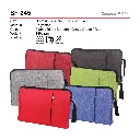 SF 245-01.webp