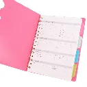 NB 2490 _2.webp