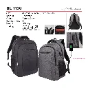 BL 1130-01.webp