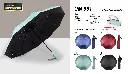 UM 551.webp