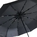 UM 551 _9.webp