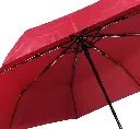 UM 553 _8.webp