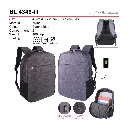 BL 4346-III-01.webp