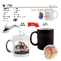 M 1710.webp