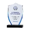 CUSTOM ACYLIC AWARDS